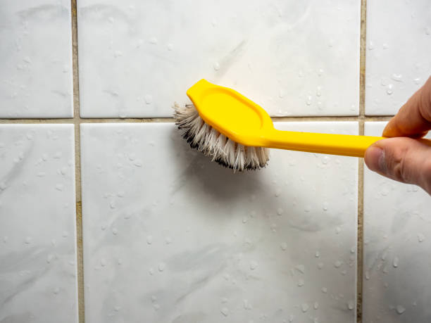 Best Home Mold Removal  in Roebuck, SC