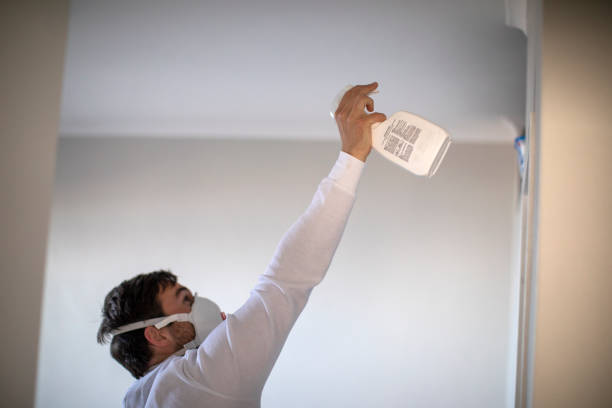 Best Mold Cleaning Services  in Roebuck, SC