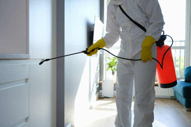 Best Crawl Space Mold Removal  in Roebuck, SC